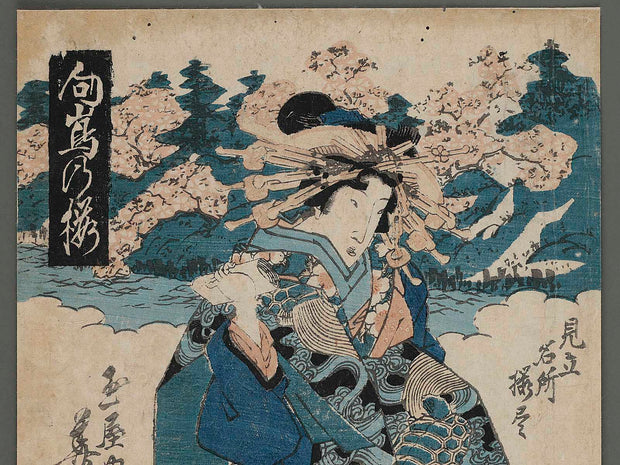 Mitate meisho sakura zukushi, Mukojima no sakura by Keisai Eisen / BJ258-174