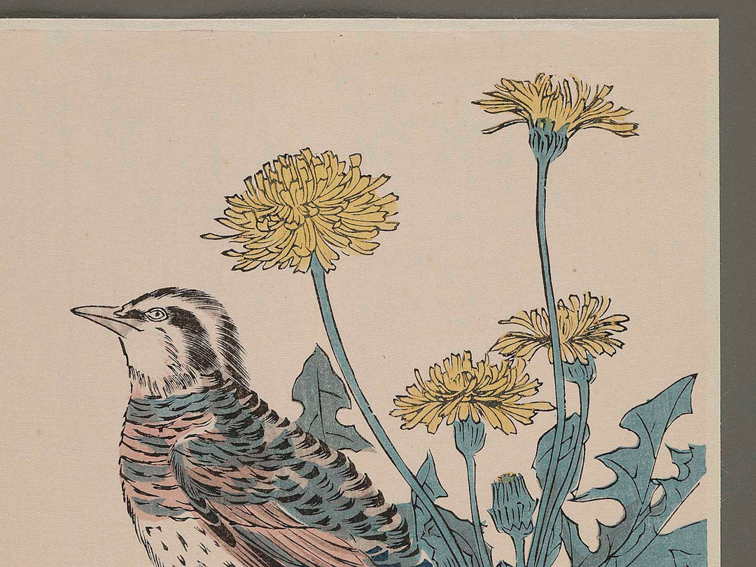 Flower and Bird / BJ265-251