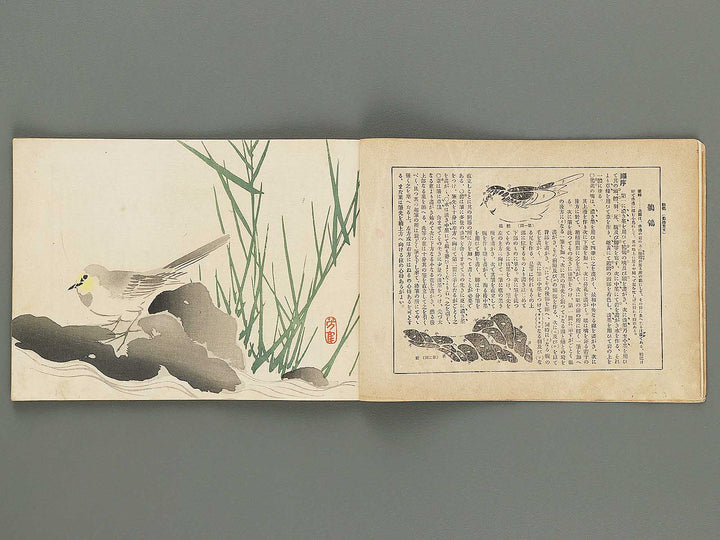 Kaiga koshu roku (Dai 6kai Volume19) / BJ298-872