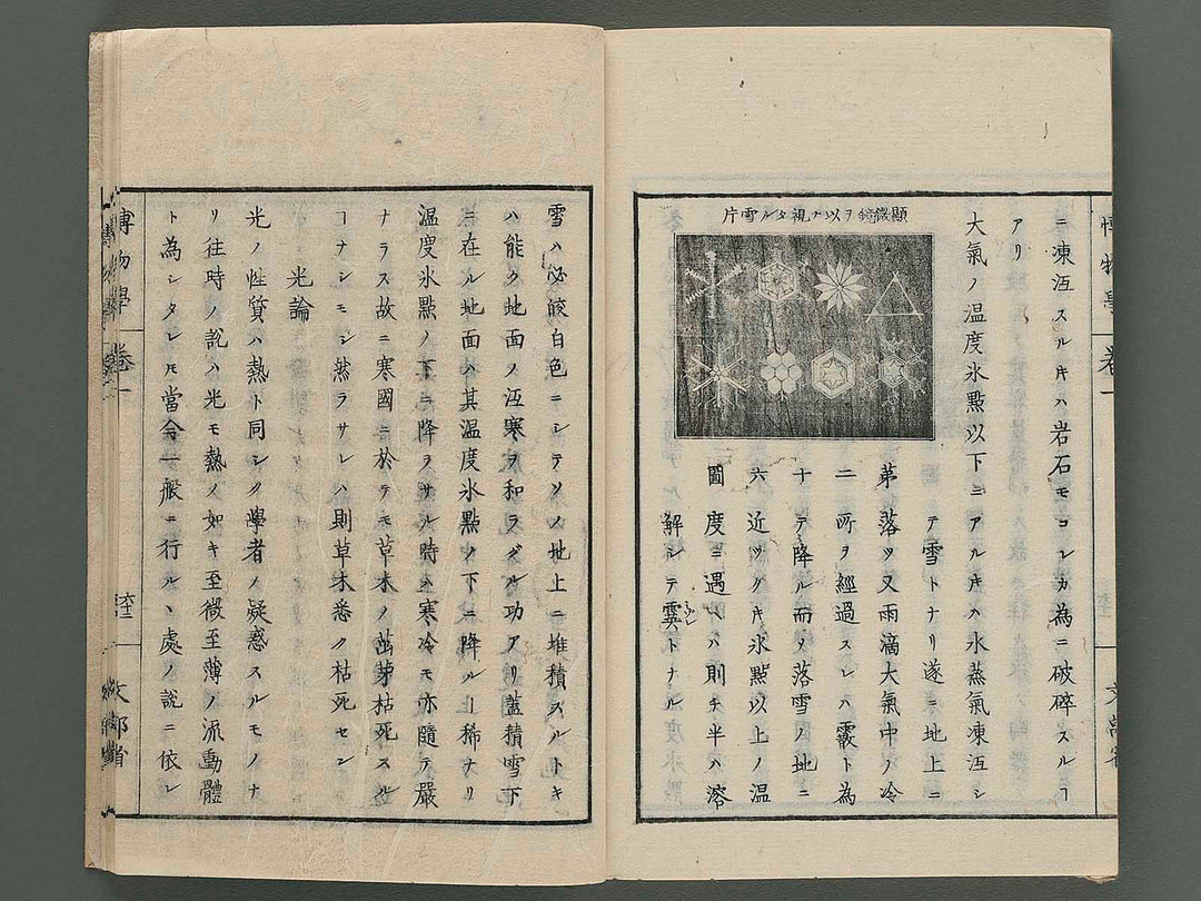 Gushi hakubutsu gaku Vol.1 / BJ259-602