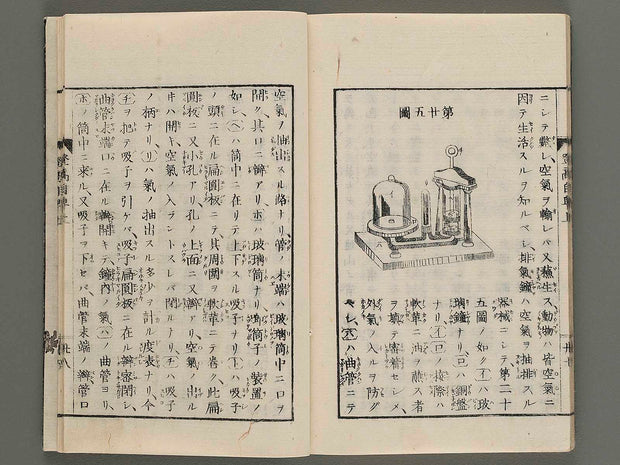 Toko jihi (Jo) / BJ271-152