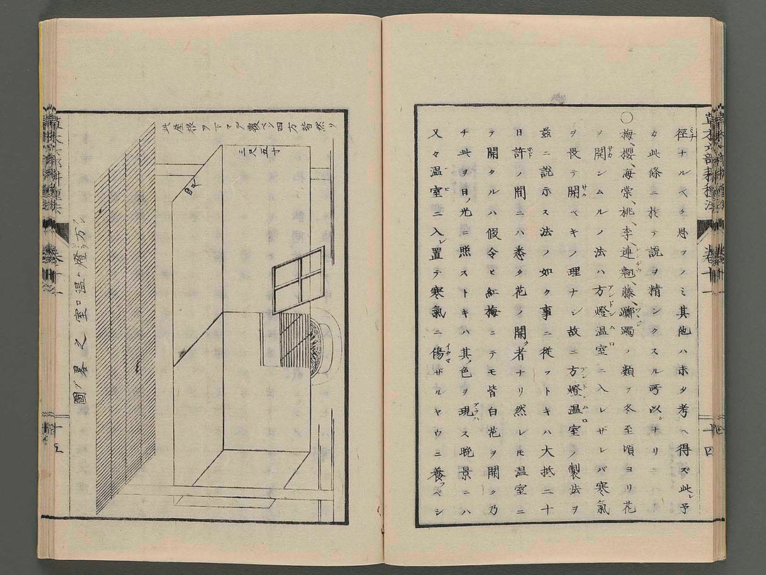 Somoku rokubu koshuho Volume 11-12 (collection in one volume) / BJ253-673
