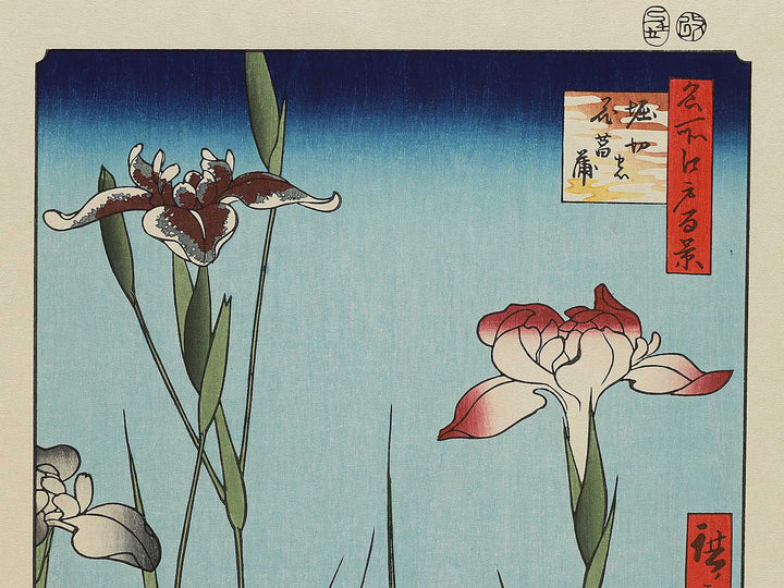 Horikiri Iris Garden from the series One Hundred Famous Views of Edo by Utagawa Hiroshige, (Large print size) / BJ297-143