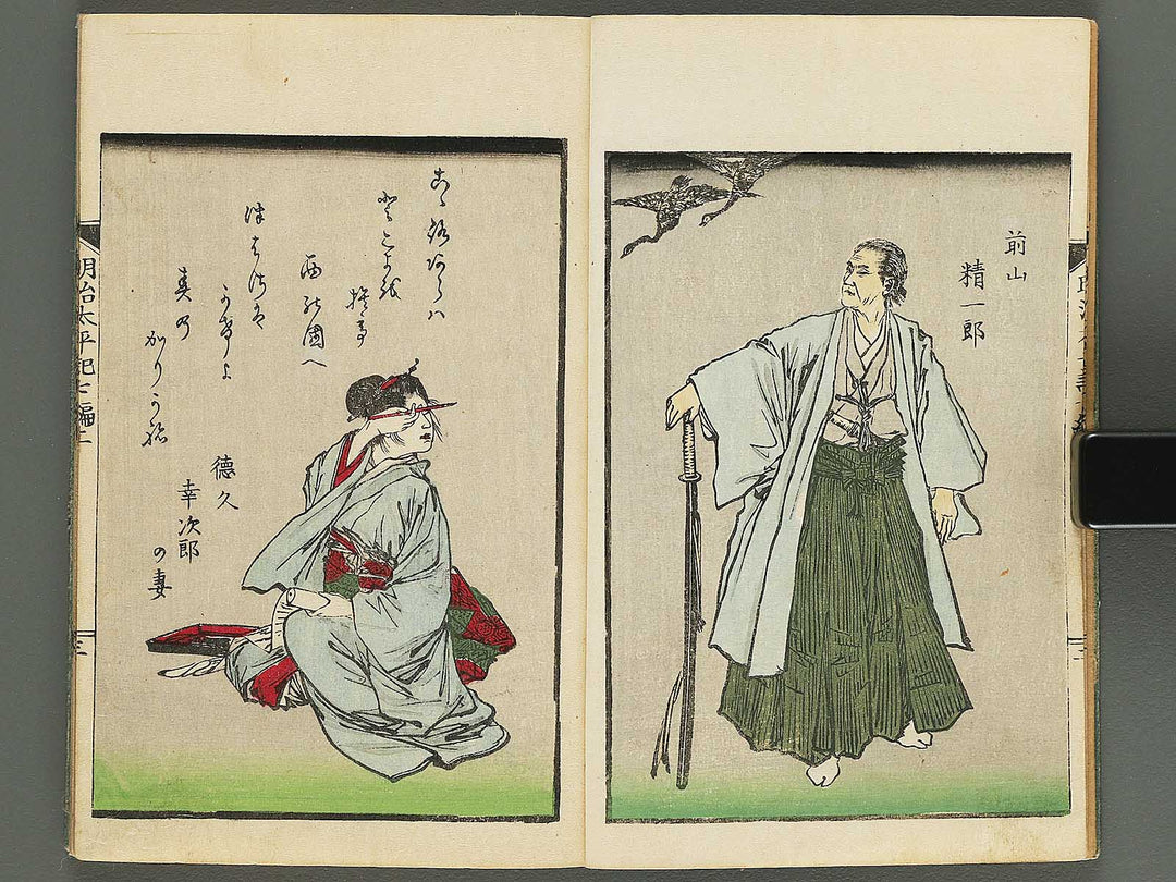 Jijo meiji taiheiki Volume 7, (Jo) by Sensai Eisaku / BJ295-246