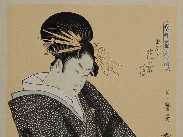 Hanamurasaki of the Tamaya, Sekiya, Teriha from the series A Collection of Contemporary Popular Beauties  by Kitagawa Utamaro, (Medium print size) / BJ223-860