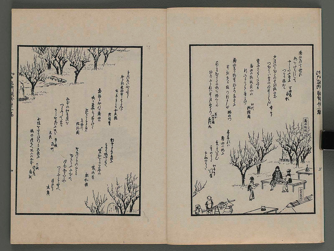 Kyoka edo meisho zue Vol.11 by Ando Hiroshige / BJ253-078