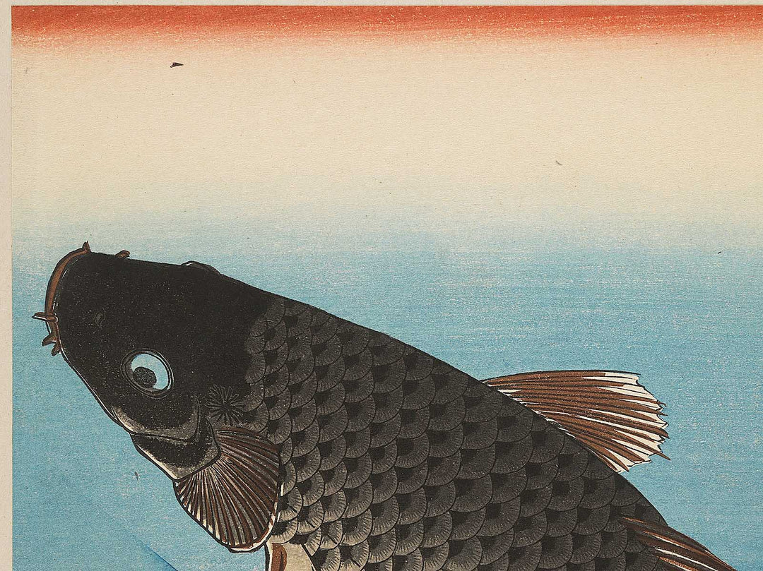 Japanese Carp from the series the series FISH by Utagawa Hiroshige, (Large print size) / BJ290-682