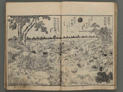 Kii no kunim meisho zue Vol.5 / BJ247-499