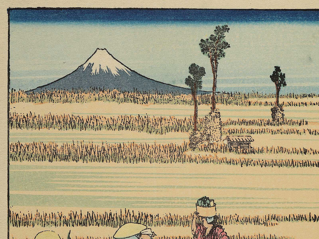 Hosaku no fuji from the series One Hundred Views of Mount Fuji by Katsushika Hokusai, (Medium print size) / BJ293-307