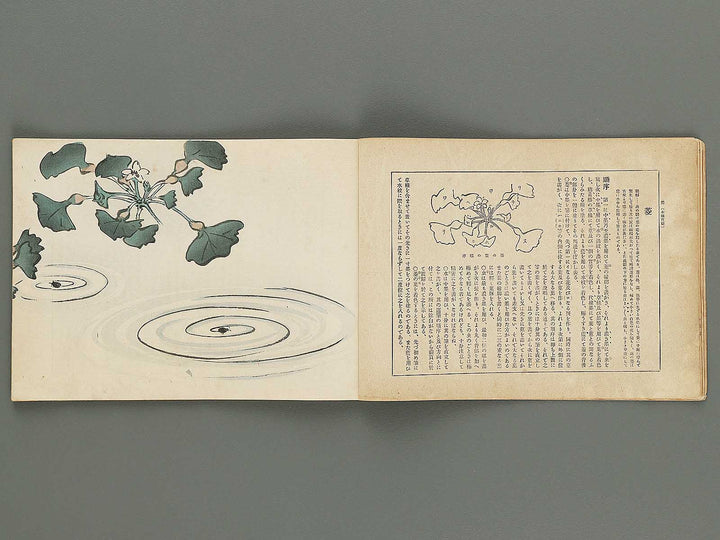 Kaiga koshu roku (Dai 6kai Volume19) / BJ298-872