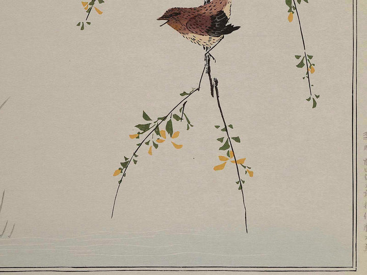 Wren and Snipe from the series Momotidori kyokaawase by Kitagawa Utamaro, (Large print size) / BJ234-122