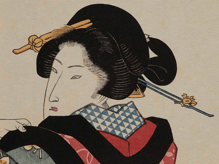 Nihen from the series Ukiyo no meisho zue by Utagawa Kunisada(Toyokuni III), (Large print size) / BJ236-264