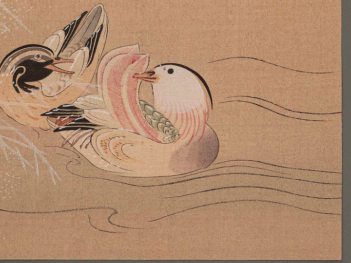 mandarin ducks by Miyazaki Yuzen, (Medium print size) / BJ280-630