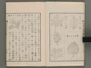 Toko jihi Gematsu / BJ271-138