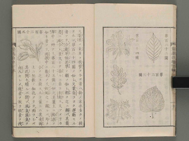 Toko jihi Gematsu / BJ271-138