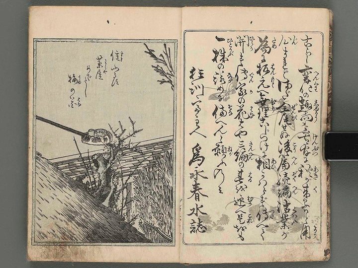 Shunshoku denka no hana Part3 Vol.7 by Utagawa Sadashige / BJ257-754