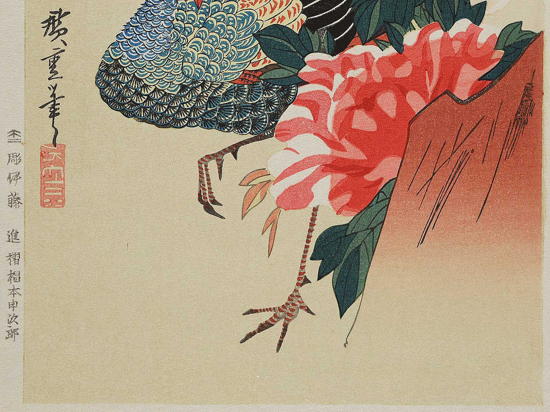 Paeony & peacock by Utagawa Hiroshige, (Medium print size) / BJ300-202