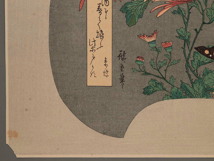 Uchiwa, Kiku ni Cho by Hiroshige / BJ248-598