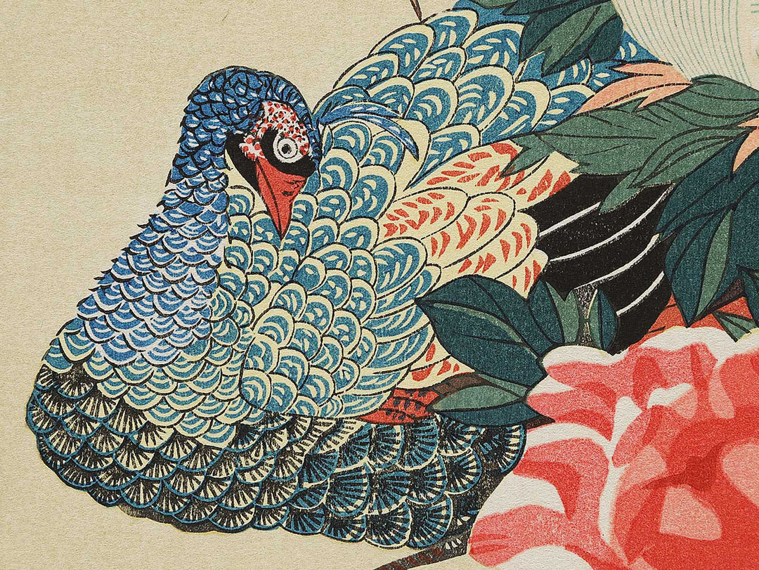 Paeony & peacock by Utagawa Hiroshige, (Medium print size) / BJ300-202