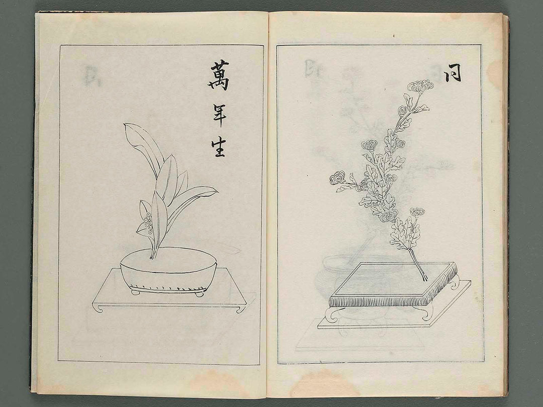 Ikebana book (The title is unknown) / BJ256-704