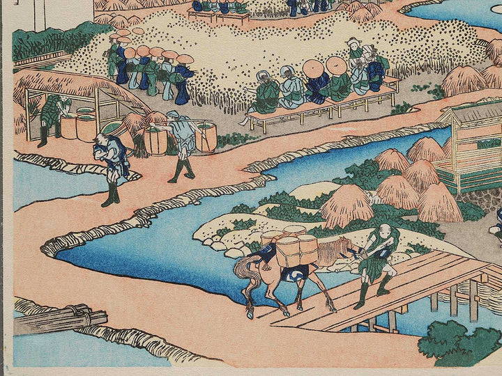 Mount Fuji from the Tea plantation at Katakura in Suruga Province from the series Thirty-six Views of Mount Fuji by Katsushika Hokusai, (Small print size) / BJ293-048