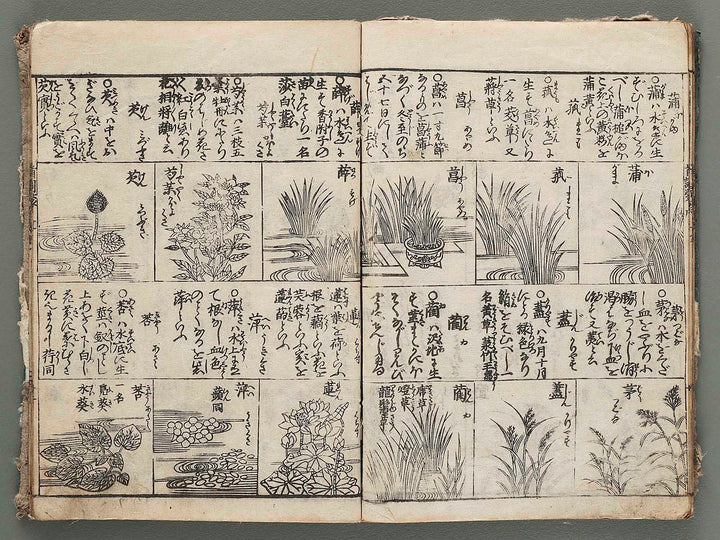 Kashiragaki zoho kinmo zui Volume 19 by Shimokobe Shusui / BJ285-684