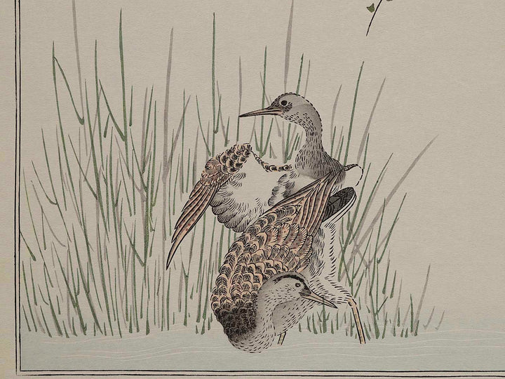 Wren and Snipe from the series Momotidori kyokaawase by Kitagawa Utamaro, (Large print size) / BJ234-122