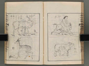 Hakubutsu shinpen yakkai Volume 4 / BJ273-728