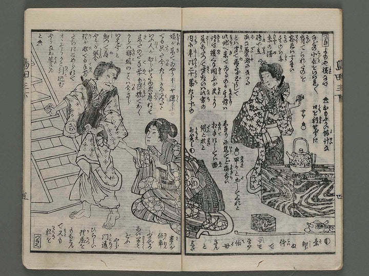 Shimada ichiro samidare nikki Vol.3 (ge) by Utagawa Fusatane / BJ232-232