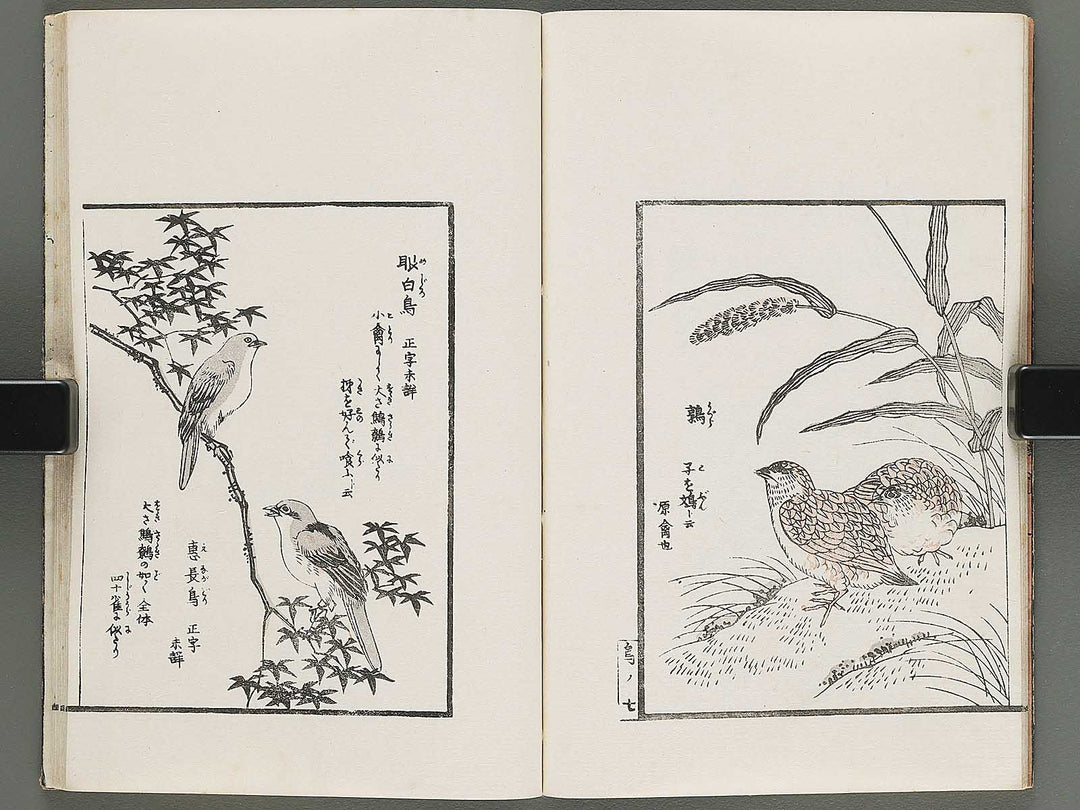 Ehon hayamanabi (Zen) by Urakawa Kosa / BJ294-854
