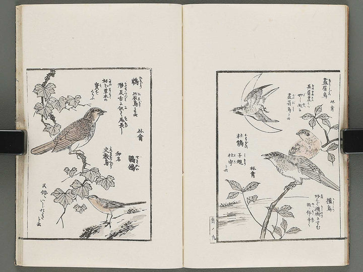 Ehon hayamanabi (Zen) by Urakawa Kosa / BJ294-854