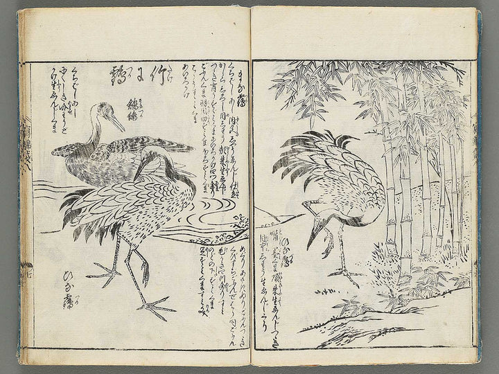 Ehon shaho bukuro Volume 8 by Tachibana Yuzei / BJ294-952