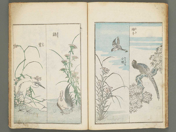 Denshin kaishu hokusai gaen Part 1 by Katsushika Hokusai / BJ290-325