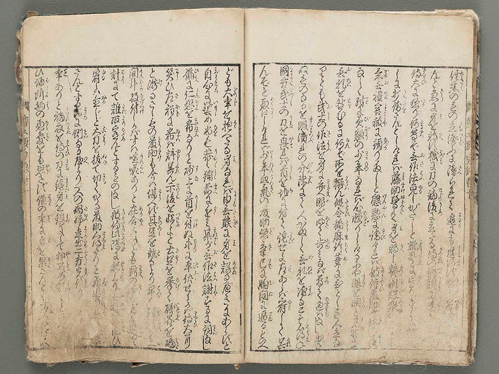 Ehon kenyuroku Volume 10 by Hayami Shungyosai / BJ285-082