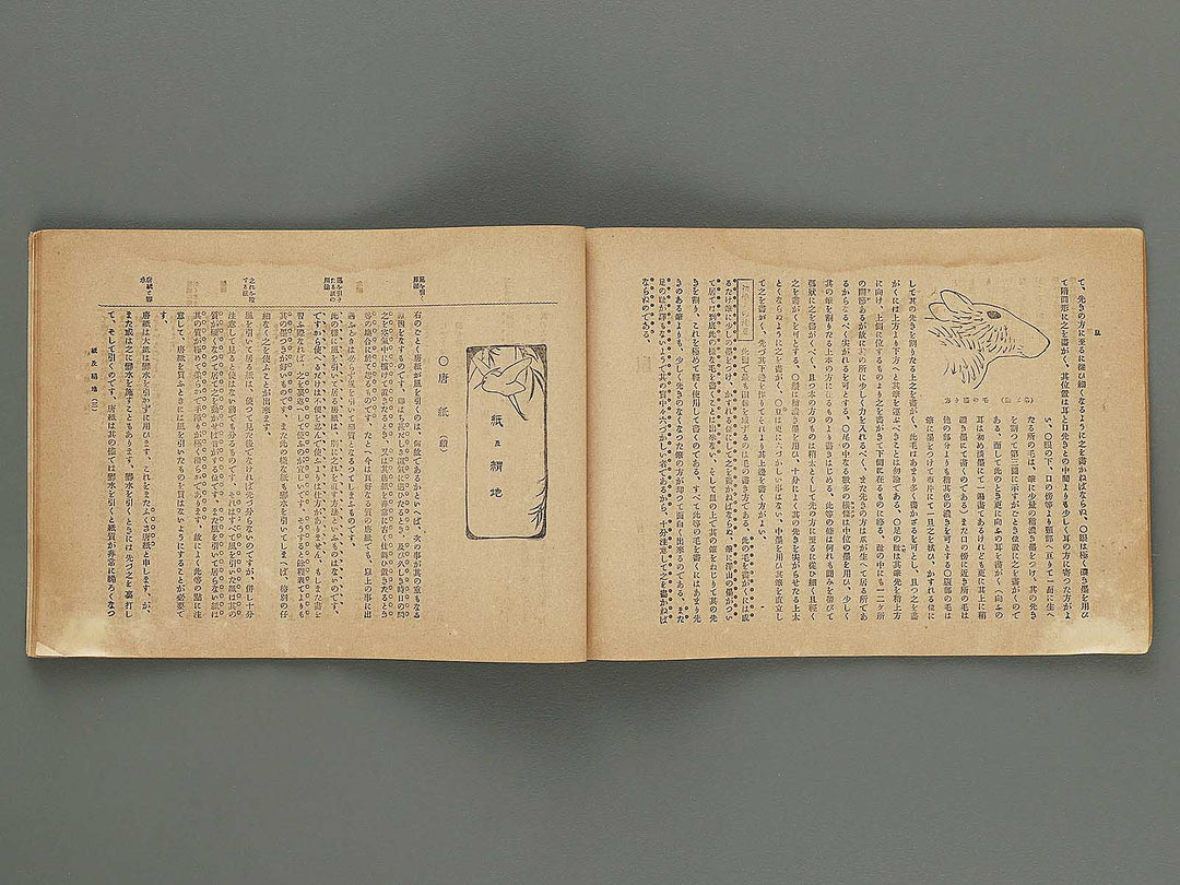 Kaiga koshu roku (Dai6kai Volume3) / BJ298-963