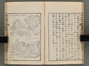 Hakubutsu shinpen yakkai Volume 4 / BJ273-728