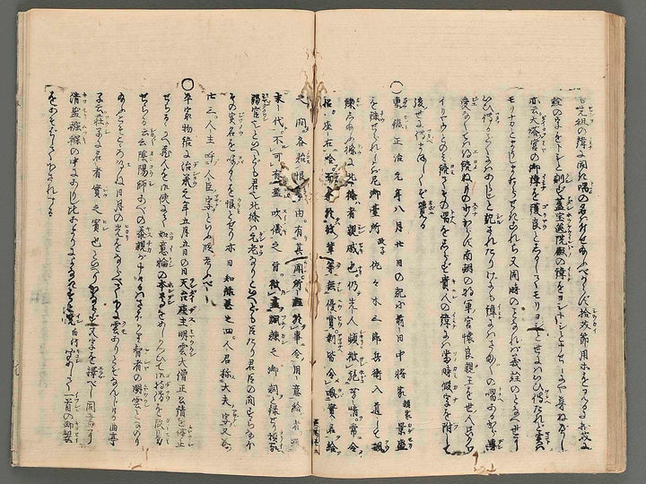 Enseki zasshi Vol.1 (Not good condition) / BJ233-219